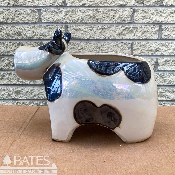 Pot Cow Planter Lrg 12x8x9  Black/White