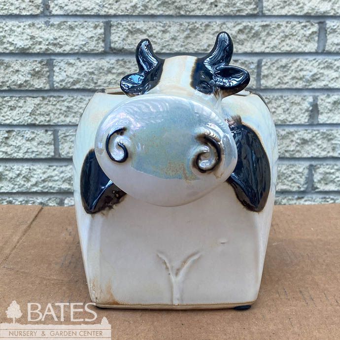 Pot Cow Planter Lrg 12x8x9  Black/White