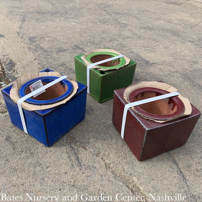 Pot Square Self-Watering Glazed 6x4 Asst