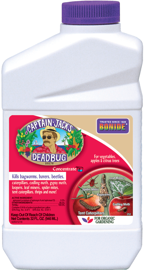Captain Jack&#39;s Dead Bug Brew 1Qt Concentrate Insecticide Bonide