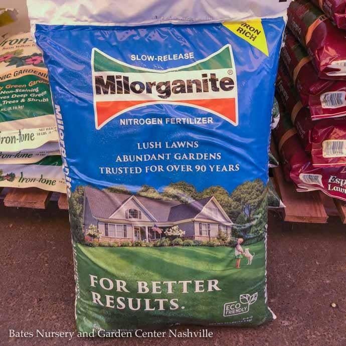 32Lb Milorganite Lawn Fertilizer 6-4-0 x