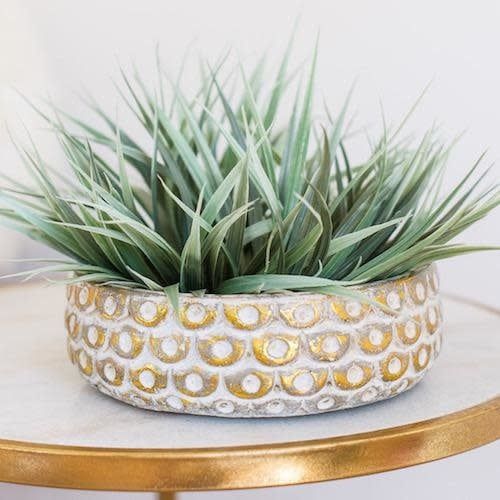 Pot/Low Bowl Sophia w/Gold Scallops Sml 8x3 Cream