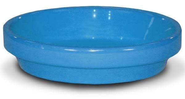 Saucer 8" Glazed Robin Egg Blue