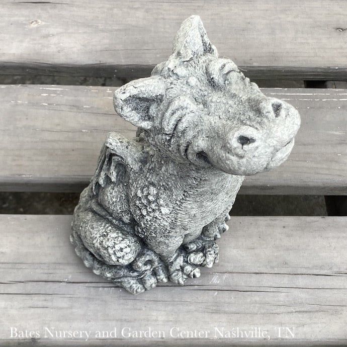 Statuary Lil Dragon Rexy 10x7