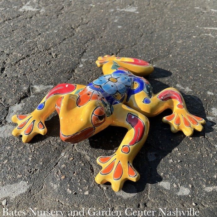 Statuary Salamander/Lizard/Frog LRG 15x14 Talavera