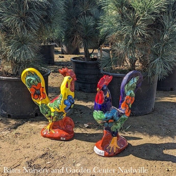 Statuary Chicken / Rooster 15x11 Talavera