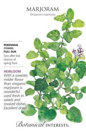 Seed Herb Marjoram Heirloom - Origanum majorana