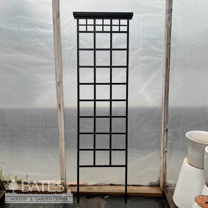 Trellis Mission Garden 78in x 21in Black Metal Panacea
