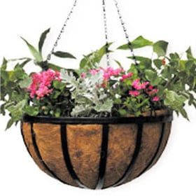 18&quot; Traditional Hanging Basket Black w/Coco Liner Border