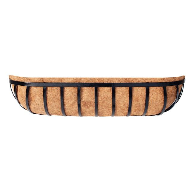 36&quot; Wall Trough Black Metal w/Coco Liner Border