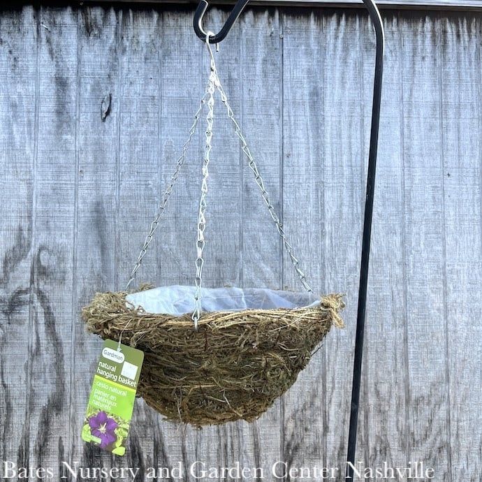 14&quot; Hanging Basket Green Moss Gardman