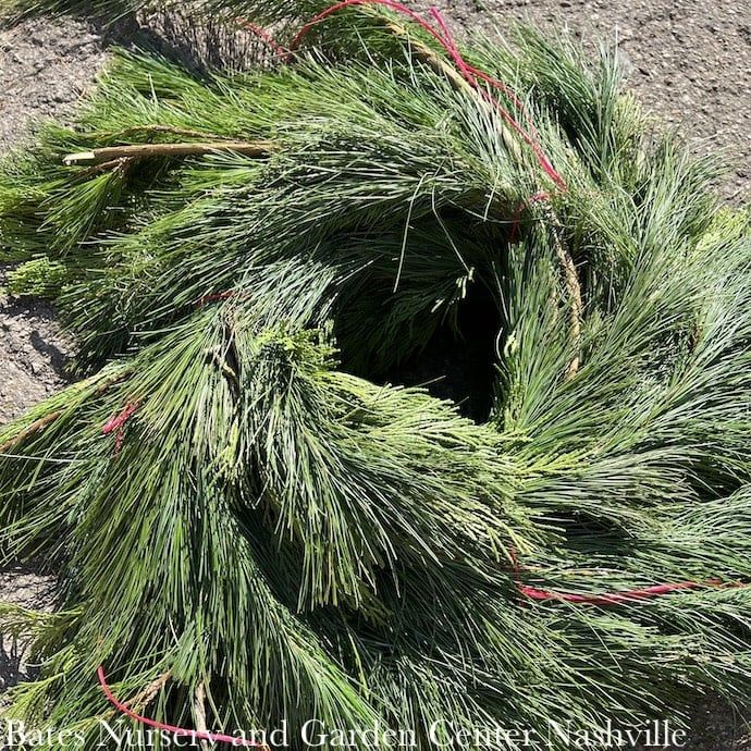 Christmas Garland 25' White Pine &amp; Cedar
