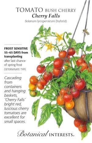 Seed Veg Tomato Cherry Cherry Falls - Solanum lycopersicum