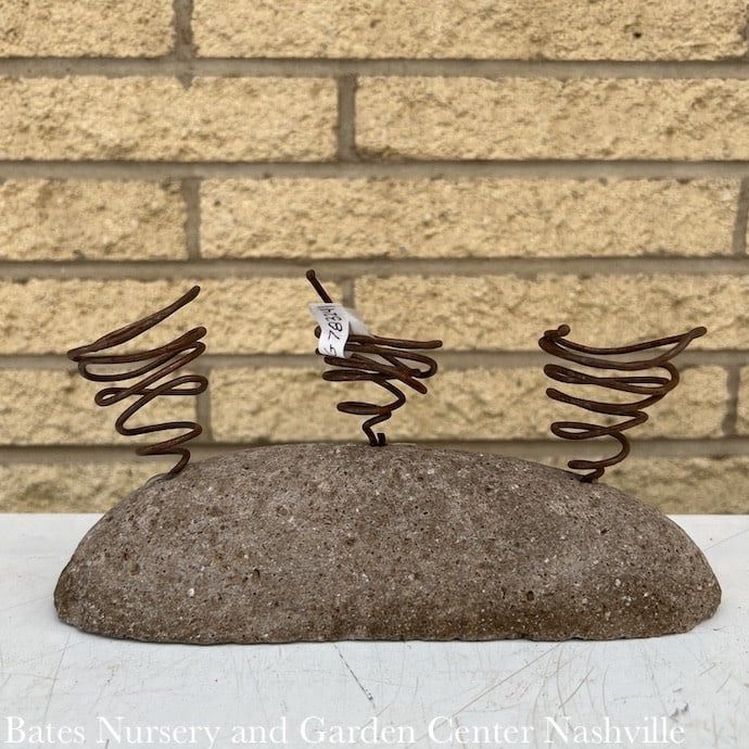 Air Plant Holder Standing Wire on Stone - Triple Pod
