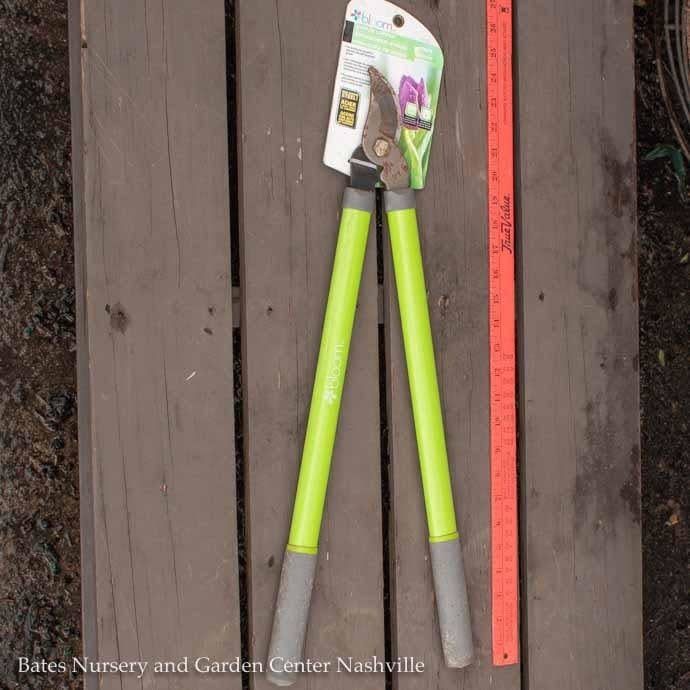 24&quot; Bypass Lopper Bloom Bond/Orbit