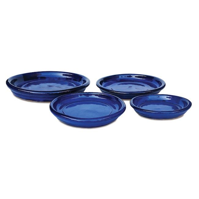 Saucer 8-9&quot; (9+) Glazed Sml Asst Colors