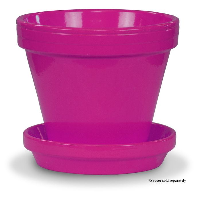 Pot 6&quot; Glazed Standard Raspberry