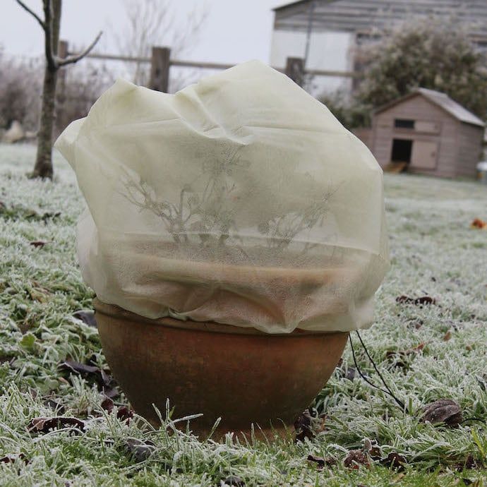 Fleece Jacket / Frost Cover for Shrubs Small 23&quot;w x 31&quot;h 4/pk Haxnicks