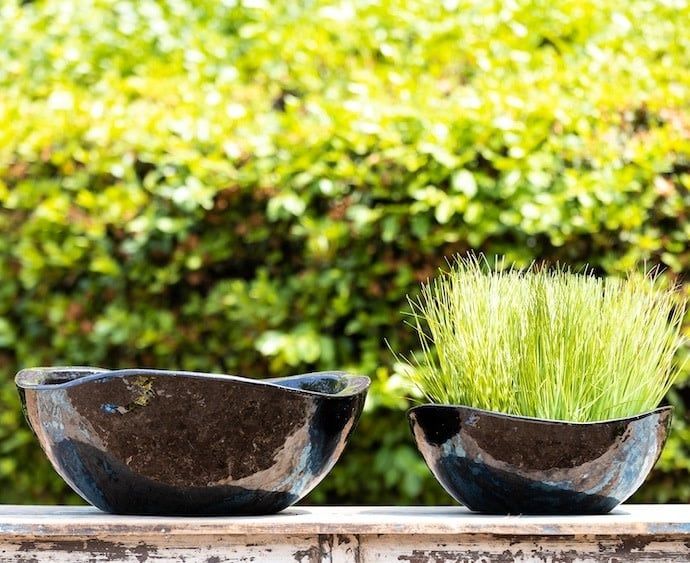 Pot/Low Bowl Lotus Sml 15x6 Asst