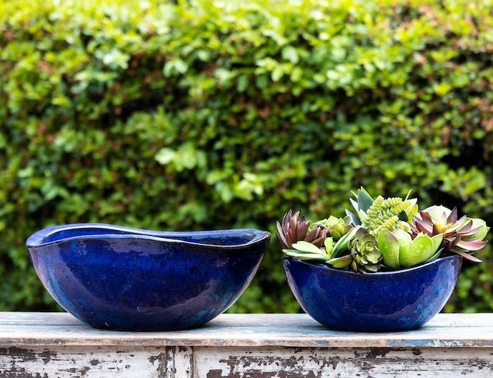 Pot/Low Bowl Lotus Sml 15x6 Asst