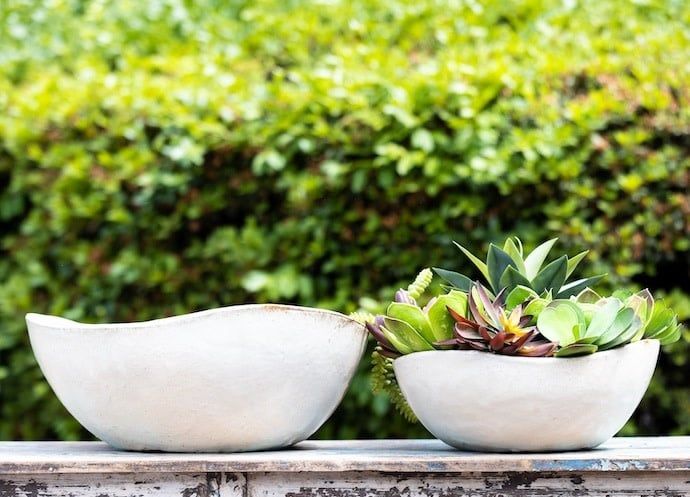 Pot/Low Bowl Lotus Sml 15x6 Asst