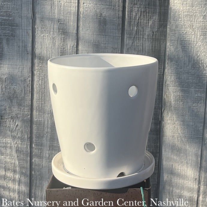 Pot Orchid Glazed w/Round Holes &amp; Saucer Lrg 6.75x7 Black or White