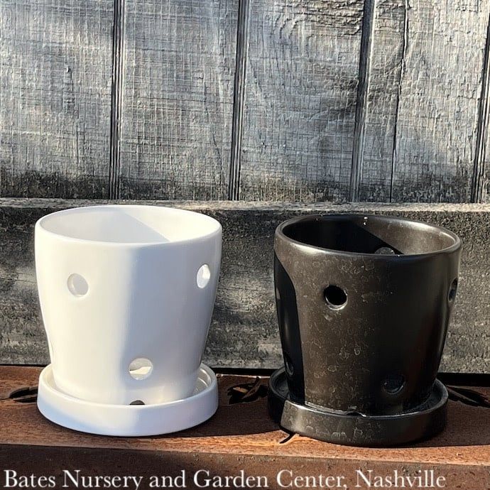 Pot Orchid Glazed w/Round Holes &amp; Saucer Sml 4.5x4 Black or White