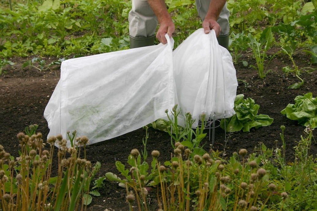 Easy Fleece Tunnel / Row Cover 9.8&#39;Lx18&quot;Wx12&quot;H  Haxnicks