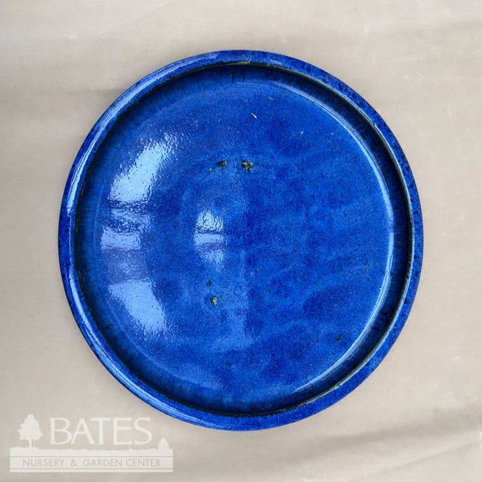 Saucer 11-12&quot; (12+) Glazed Med +  Asst Colors