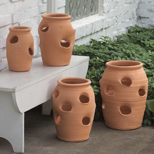 Pot Strawberry Jar 5-Gallon Terracotta