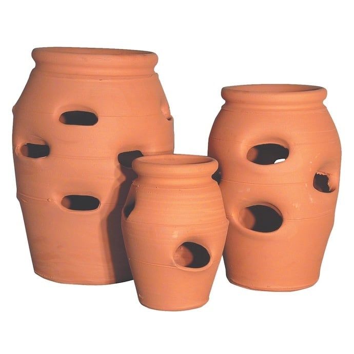 Pot Strawberry Jar 5-Gallon Terracotta