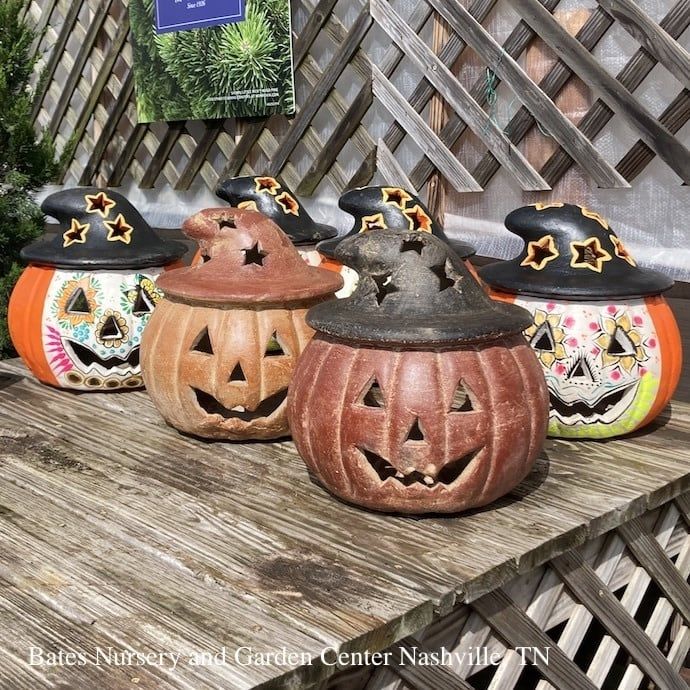 Lantern Witch Hat Pumpkin /Jack O Lantern LRG 15x11 Talavera
