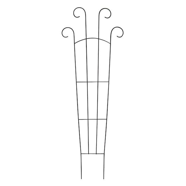 Trellis Lenox w/Curly Top 24x72 Black Metal