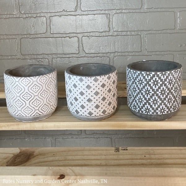 Pot 4x4 Asst Decor Gray/White Cement