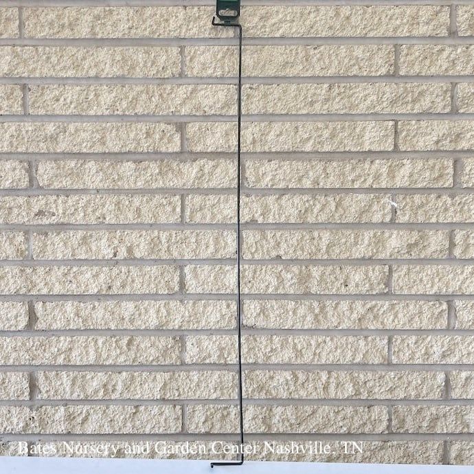 Straight Border Edge 32&quot;L / 80cm Peacock