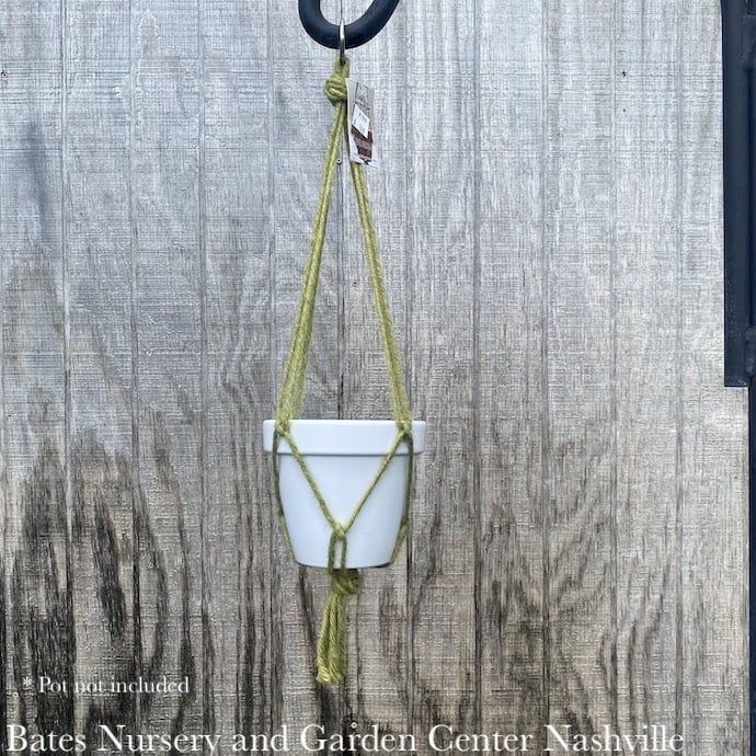 Plant Hanger 18&quot; Macrame Mini Jute Hanger Assorted Colors Primitive Planter