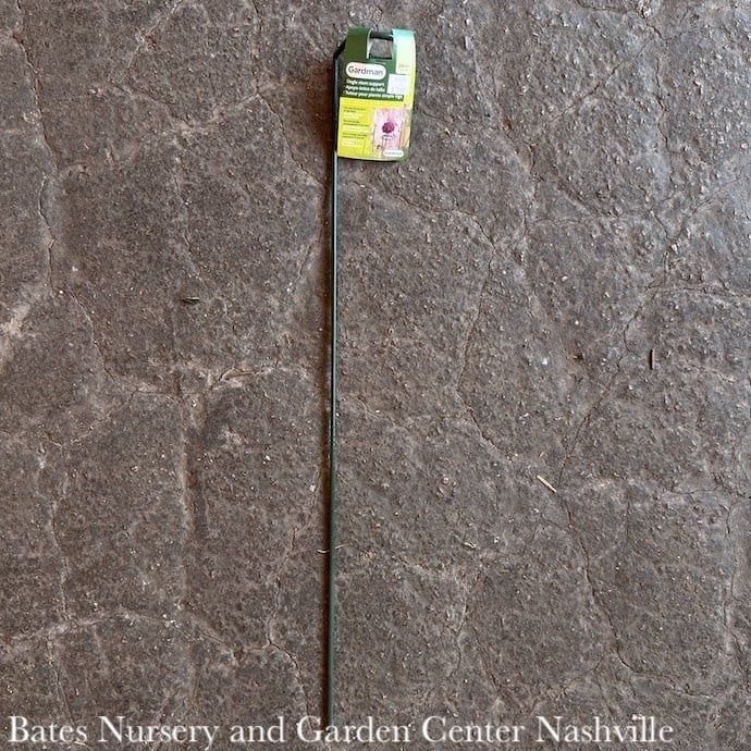 24&quot; Plant Stake Single Stem / Bloom/Blossom Support w/2&quot; loop Gardman