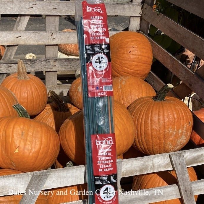 4&#39; Bamboo Stakes Green 25/pkg Orbit/Bond