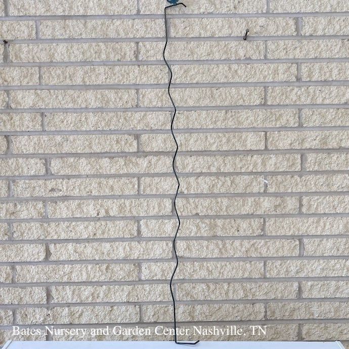 Scalloped Border Edge 40&quot;L / 100cm Peacock