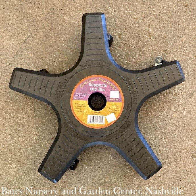 Down Under Plant Caddy/Stand 20&quot; Black Bosmere