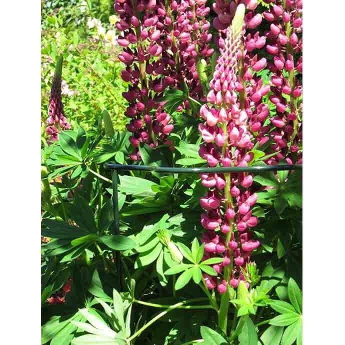 1/2 Circle Support Ring 18&quot; Dia / 45cm Peacock