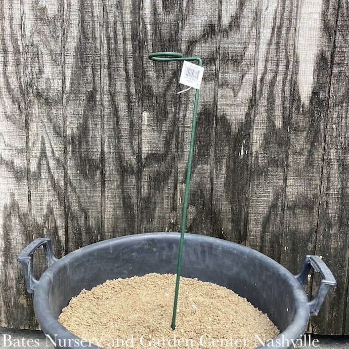 24&quot; Plant Stake Single Stem / Bloom/Blossom Support w/2&quot; loop Heavy Duty Kinsman