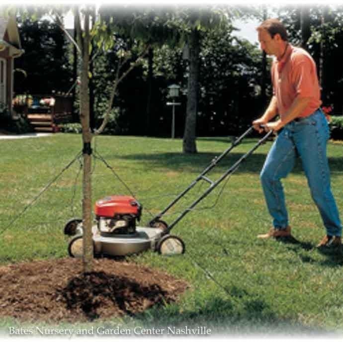 Mow-Over Tree Stake Kit
