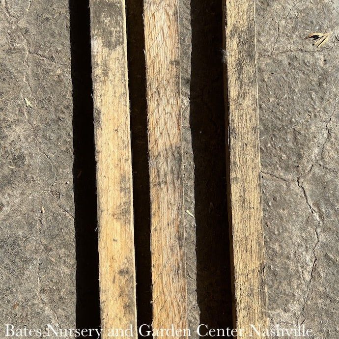 6ft 1x1 Hardwood Stake /Tomato Stake EACH Bond