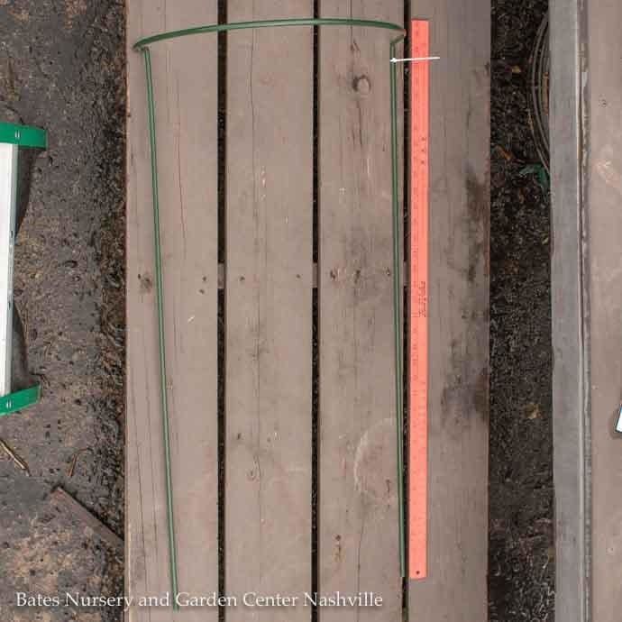 Plant / Border Support 34&quot; Half Loop