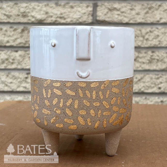 Pot Modernist Face Tall Planter Sml 4.75x.5.5 Cream/Gold
