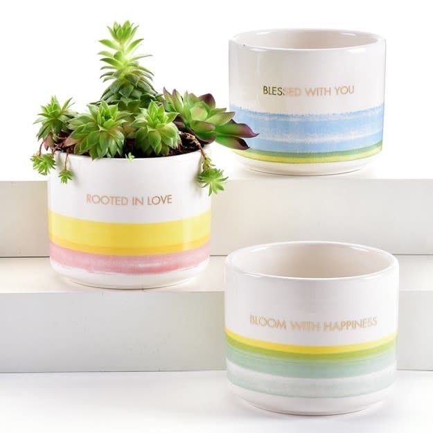 Pot Cylinder Sentiment Stripe 4x3 Asst