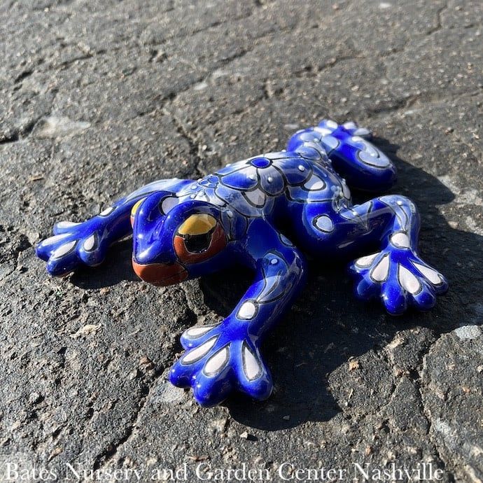 Statuary Salamander/Lizard/Frog SML 8x5 Talavera