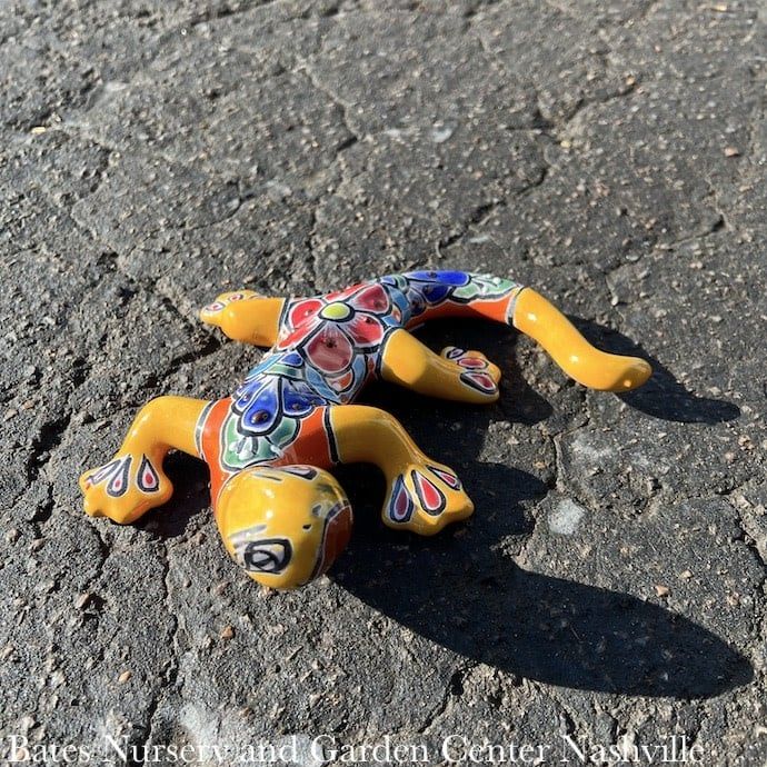Statuary Salamander/Lizard/Frog SML 8x5 Talavera