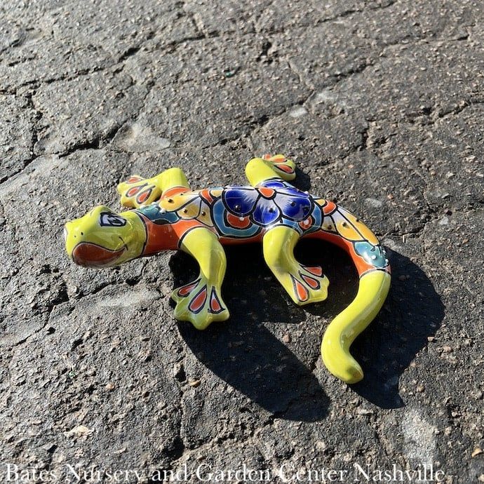Statuary Salamander/Lizard/Frog SML 8x5 Talavera